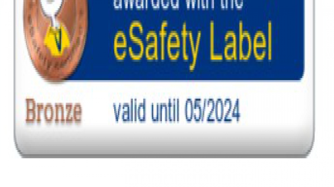 eSafety Bronz Etiketi